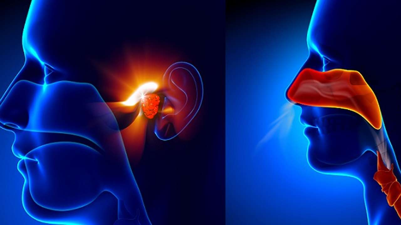 3rd International Conference on Otorhinolaryngology 2023